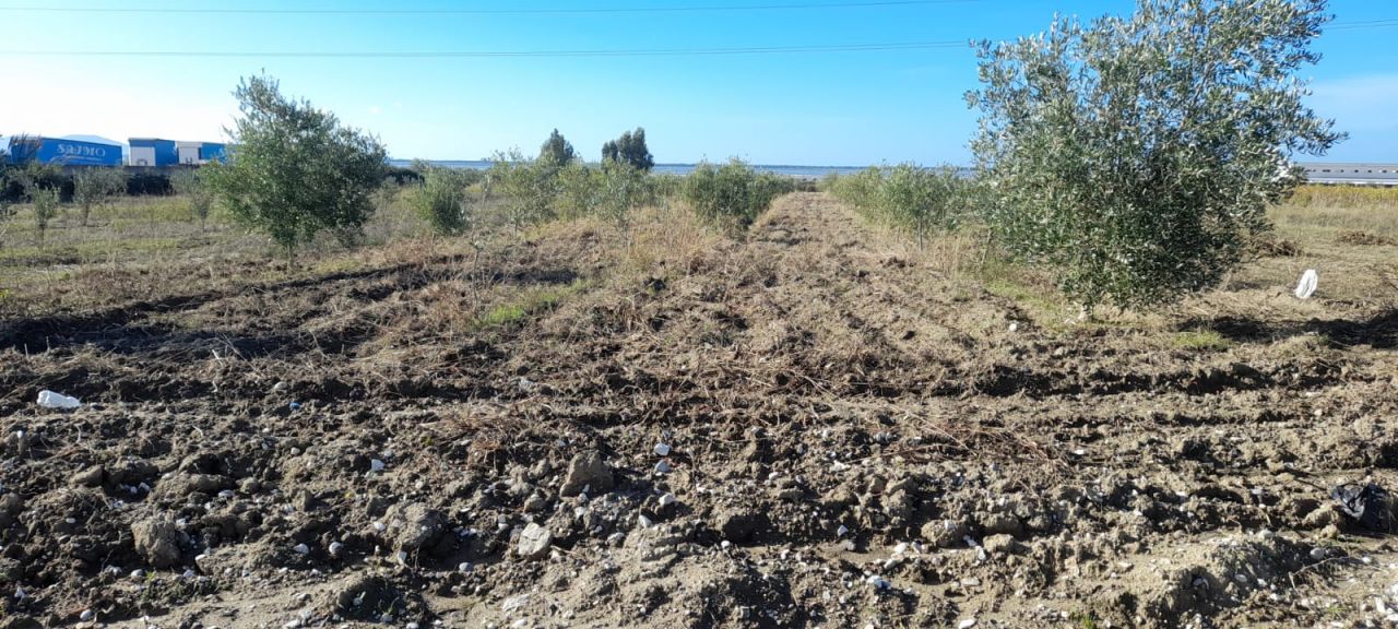 Grundstück zum Verkauf in Vlora